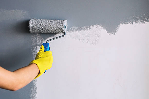 Tacoma's Choice for Expert Residential Painters
